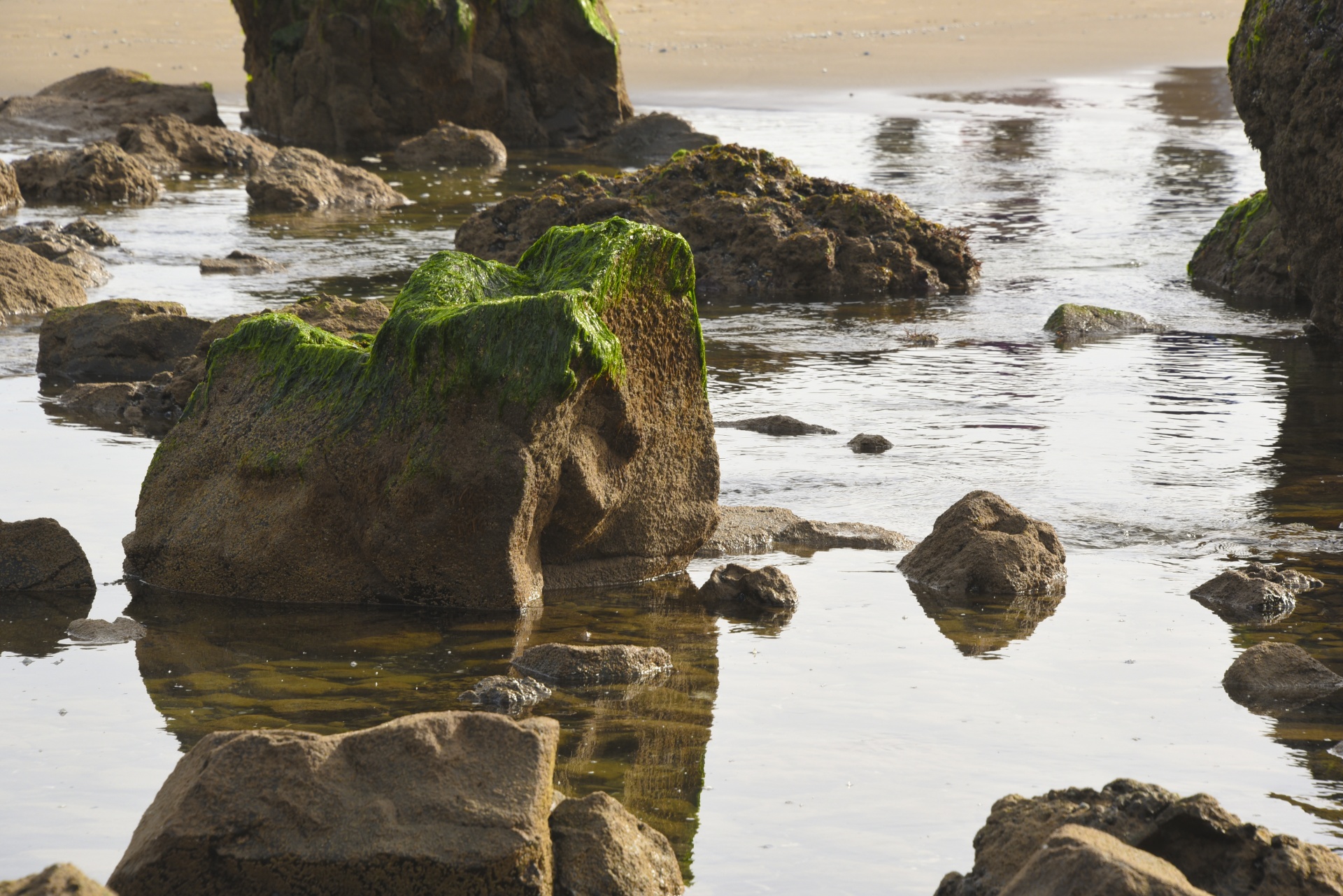 background green rocks free photo