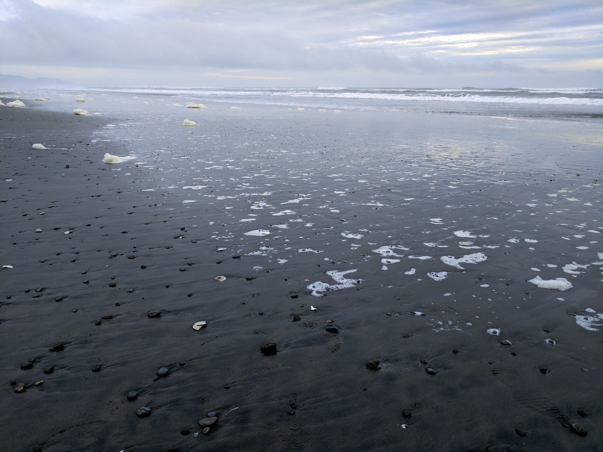 beach shore sea free photo