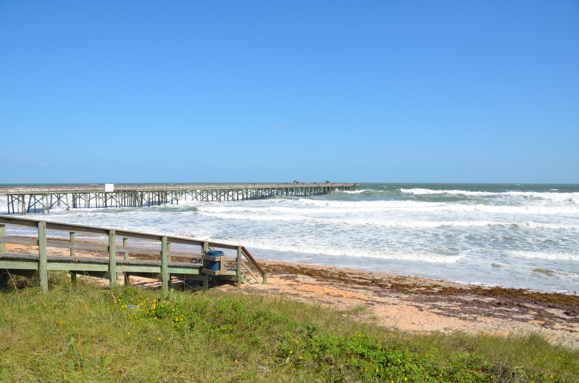 beach ocean surf free photo