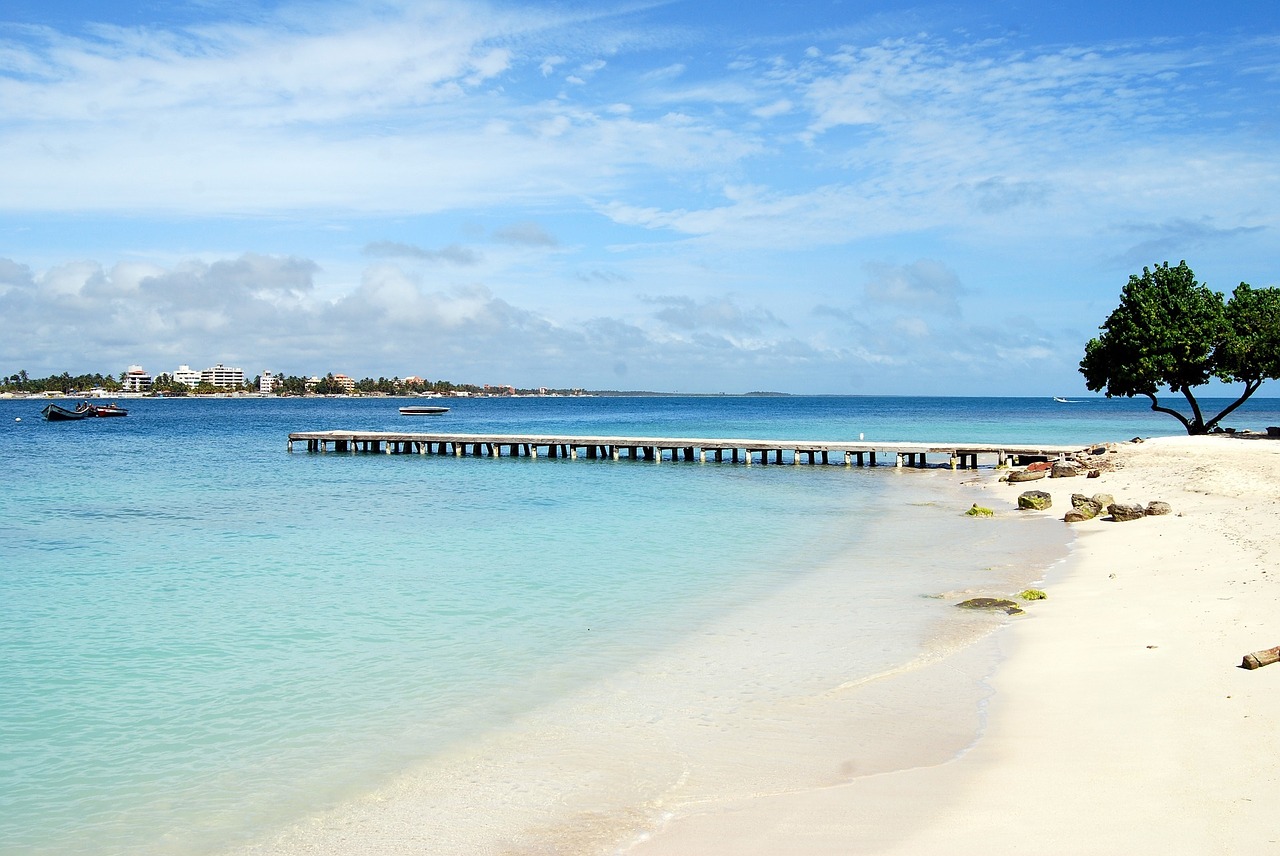 beach resort pier ocean free photo