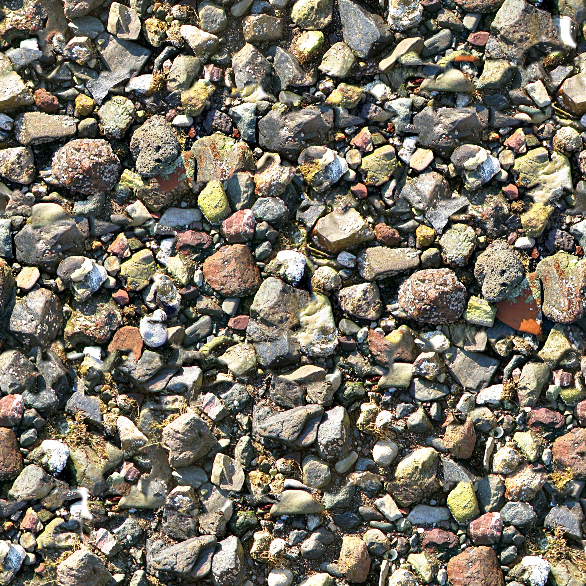 beach rocks gravel free photo