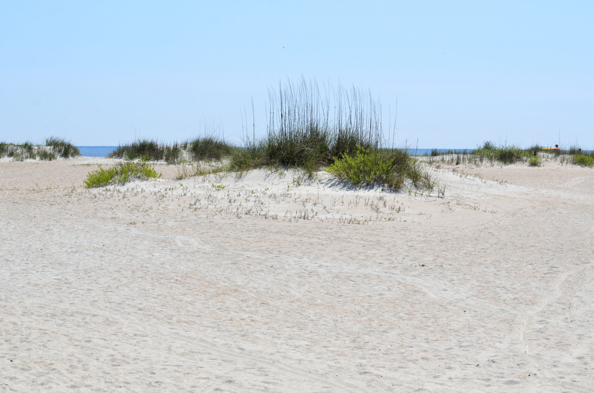 beach dune landscape free photo