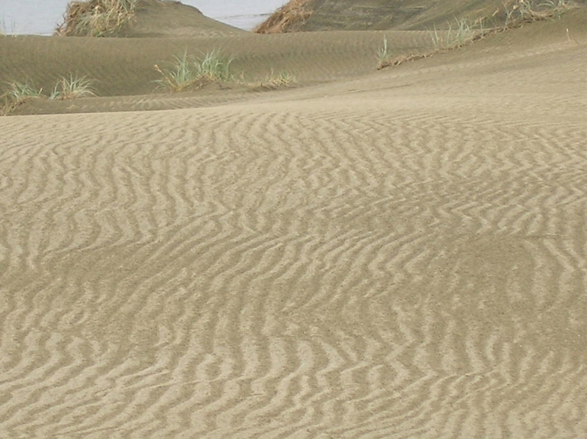 nz beach sand beach sand patterns free photo