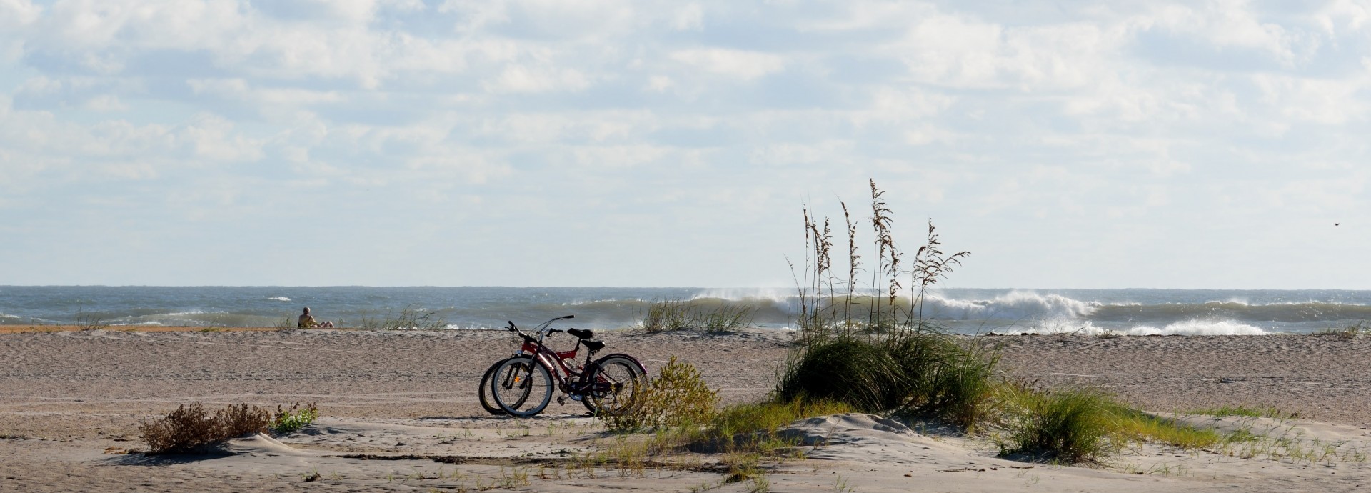 panoramic beach scenic free photo