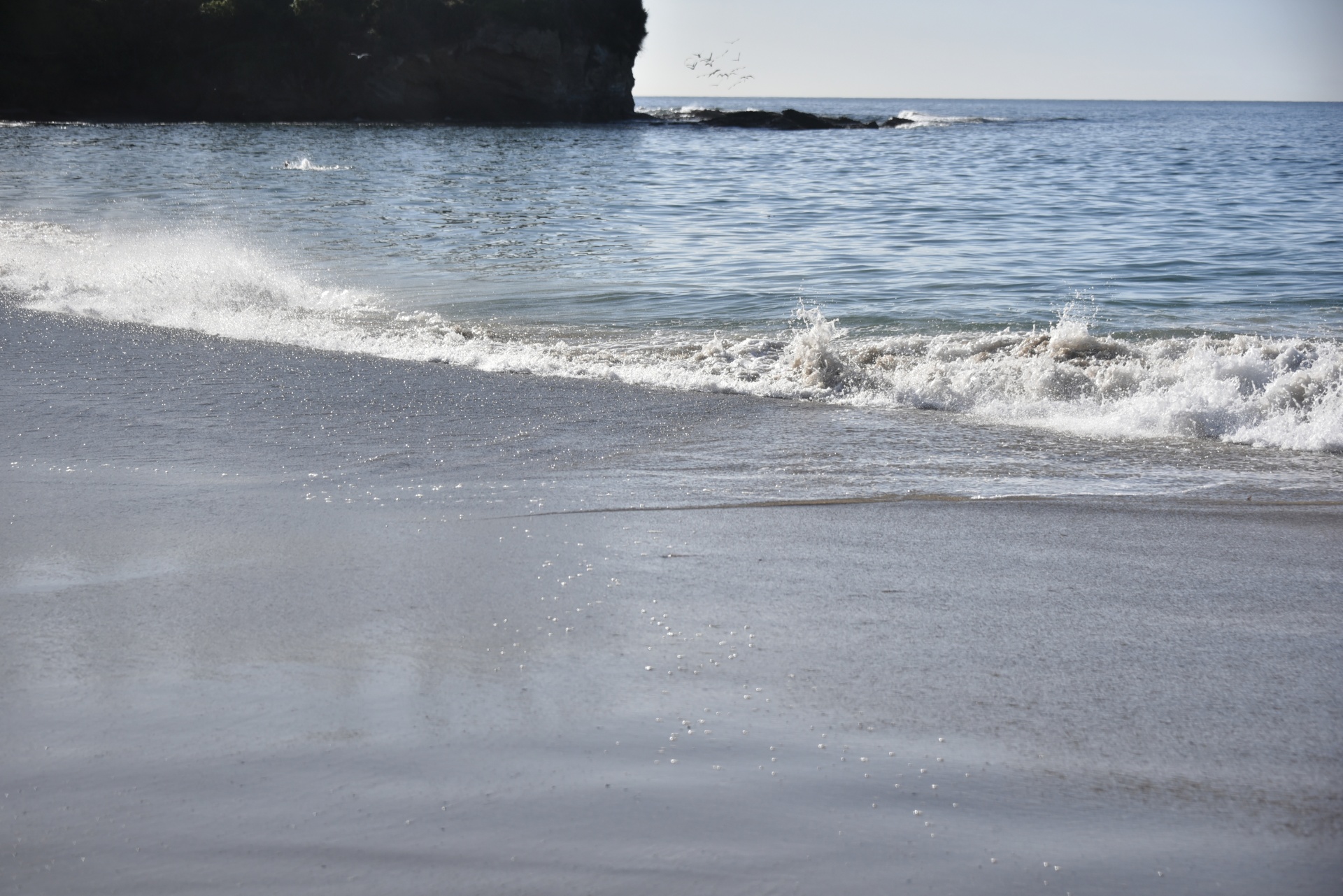 low tide ocean beach free photo