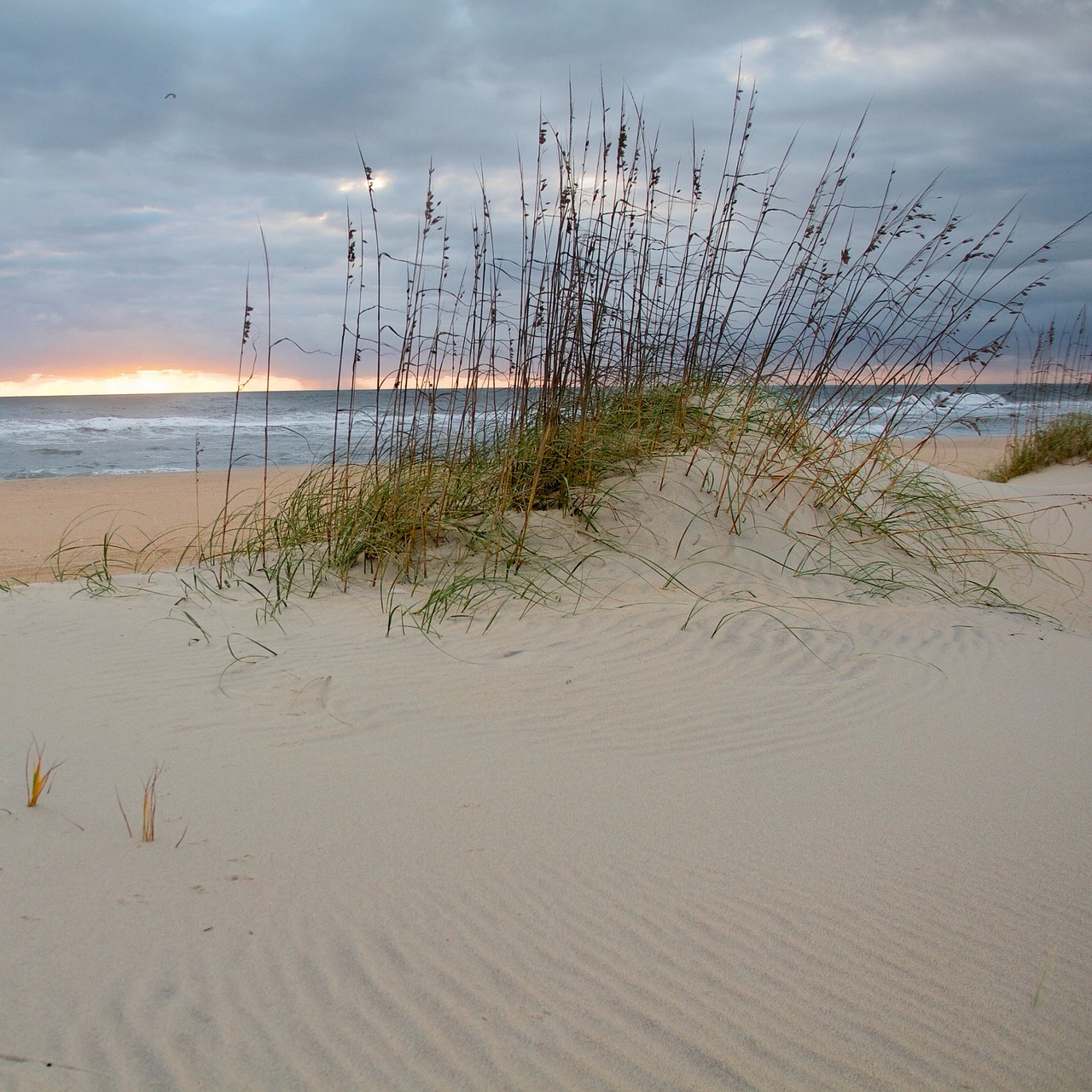 beach scene sunset dunes free photo