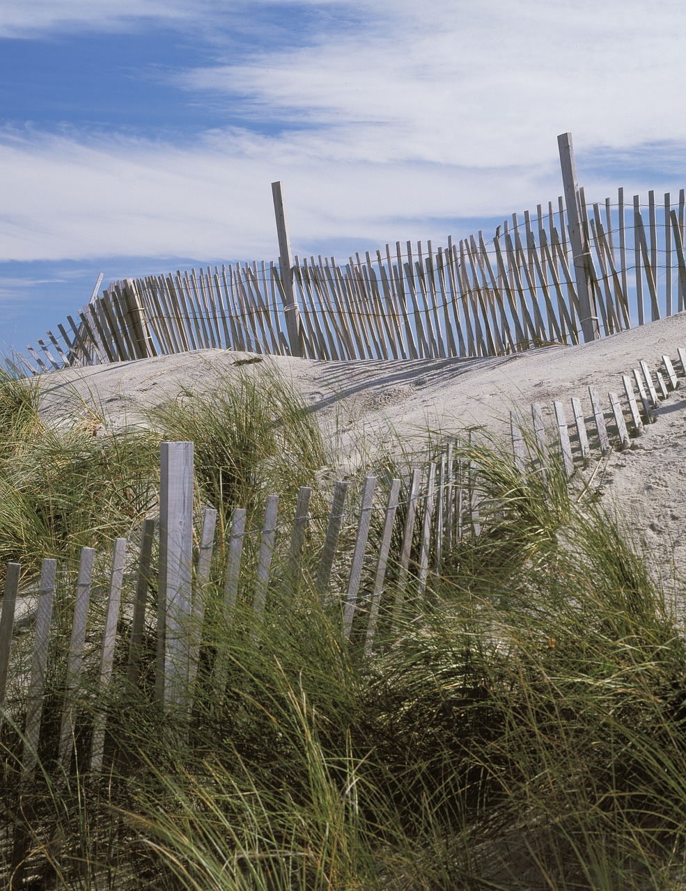 beach scene dunes fence free photo