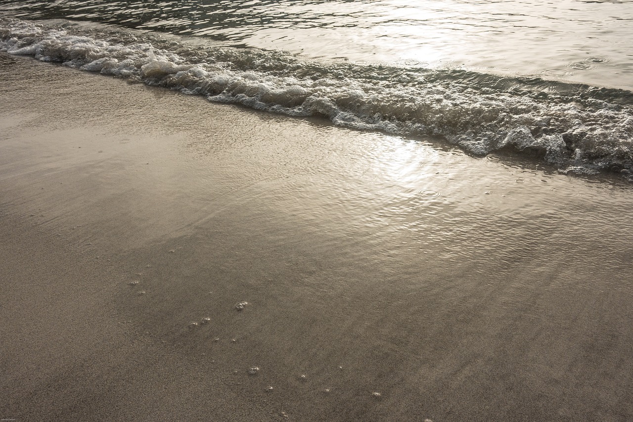 beach sea holiday wave free photo