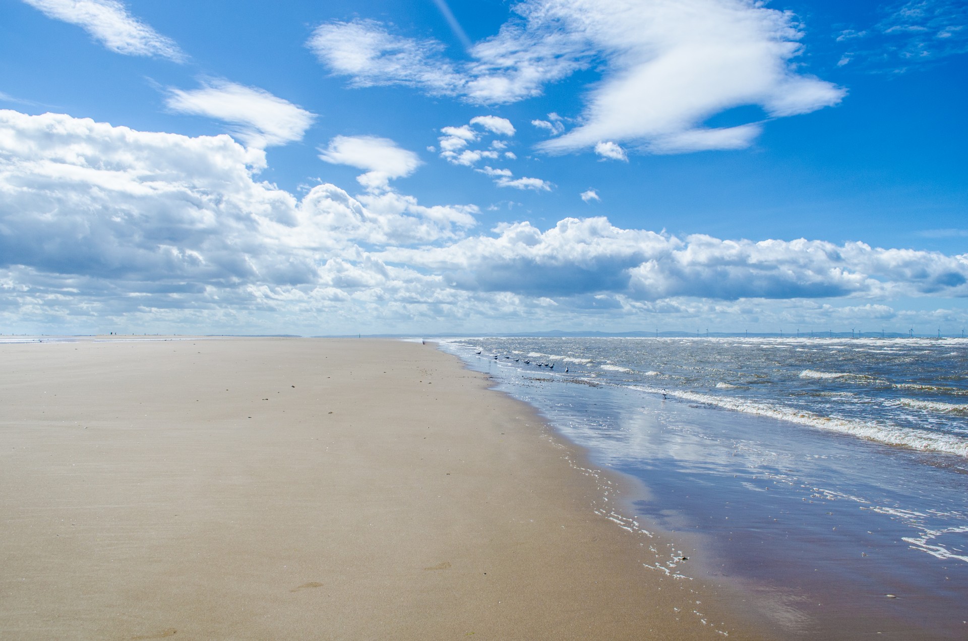 beach sand sea free photo