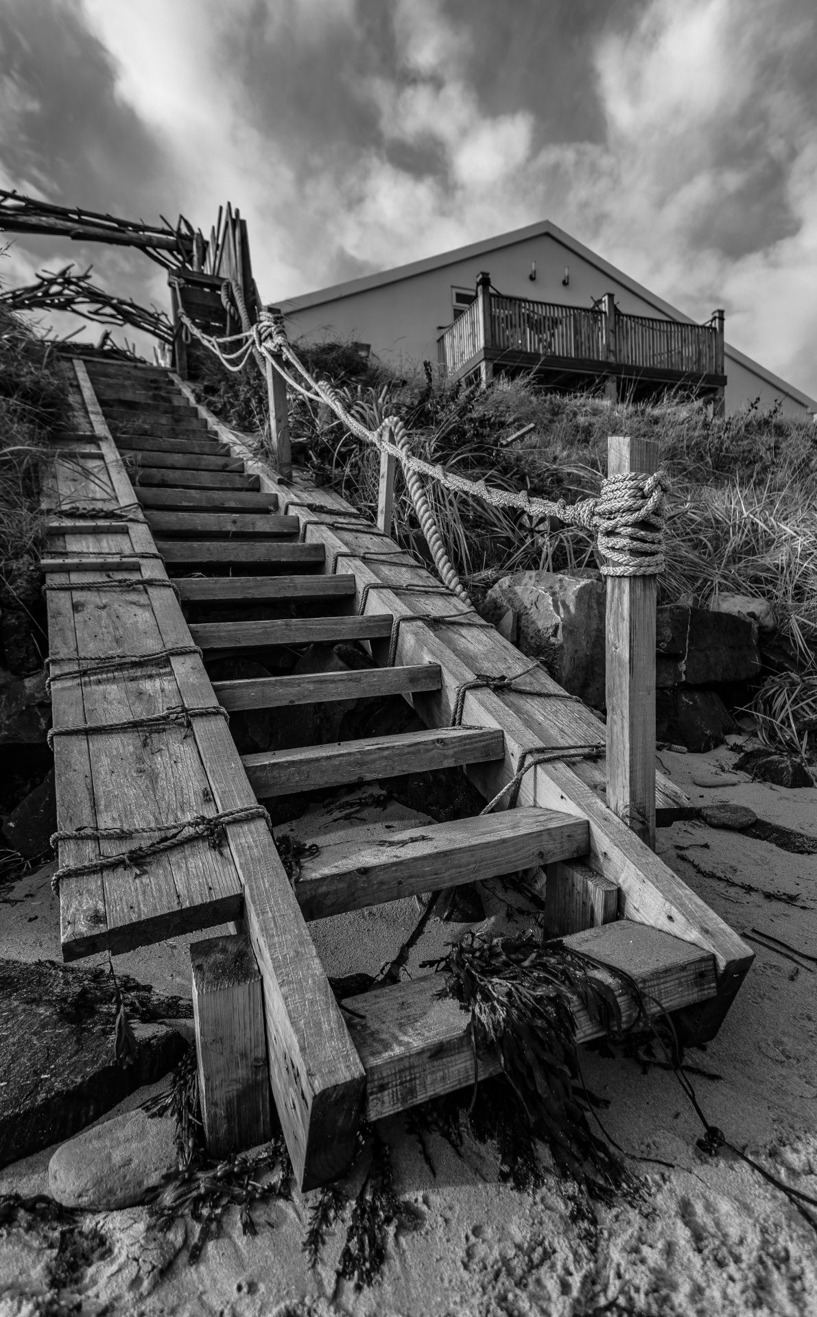 steps beach northumbria free photo