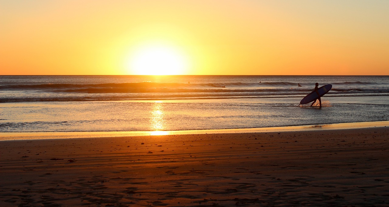 beach sunrise seaside surfer free photo