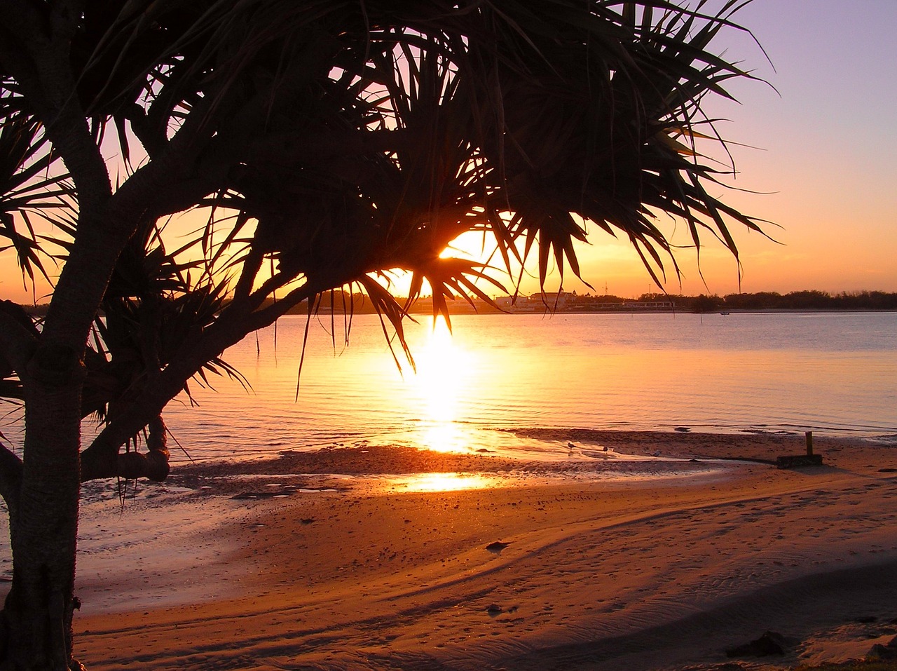 beach sunrise peaceful coastline free photo