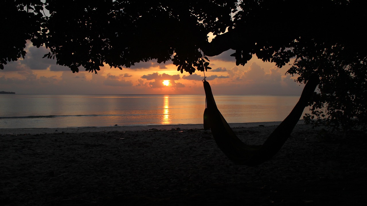 beach sunset hammock tropical free photo