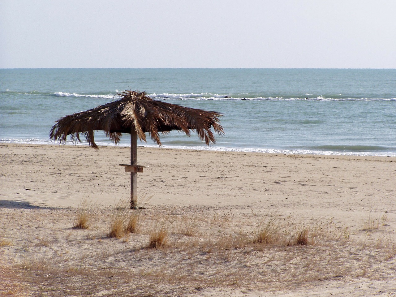 beach umbrella beach summer free photo