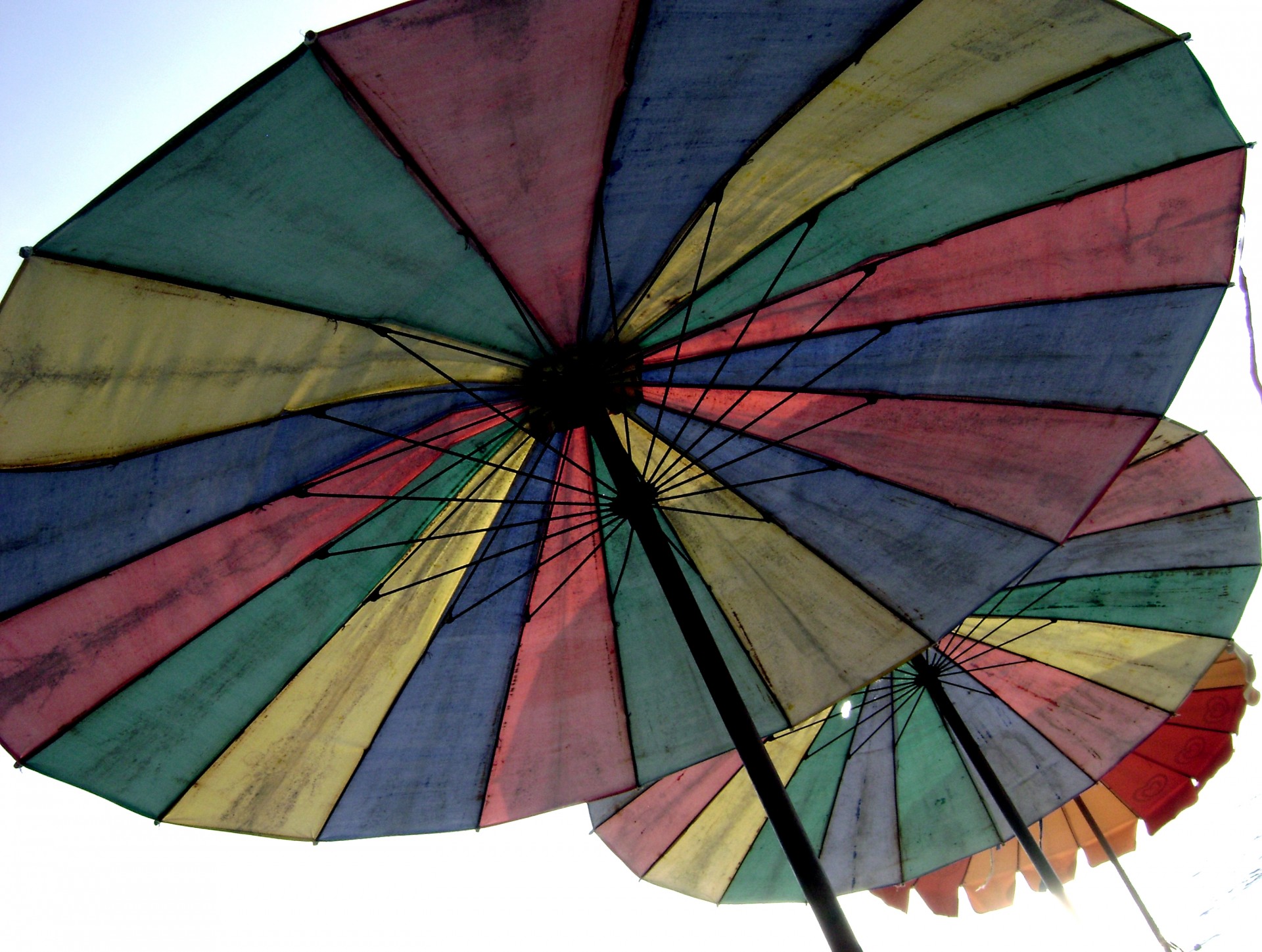 beach umbrella parasol free photo