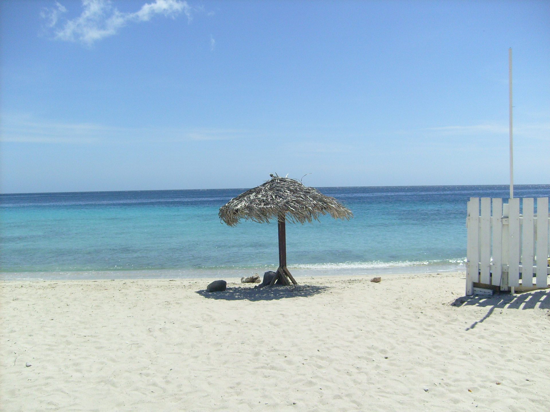 beach sea view free photo