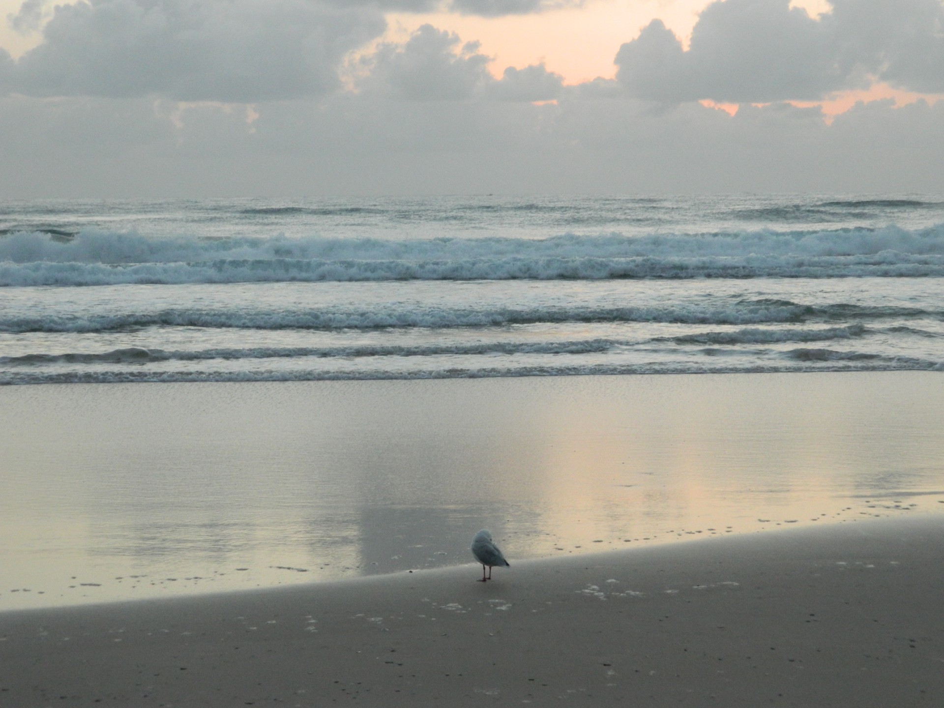 ocean beach sea free photo