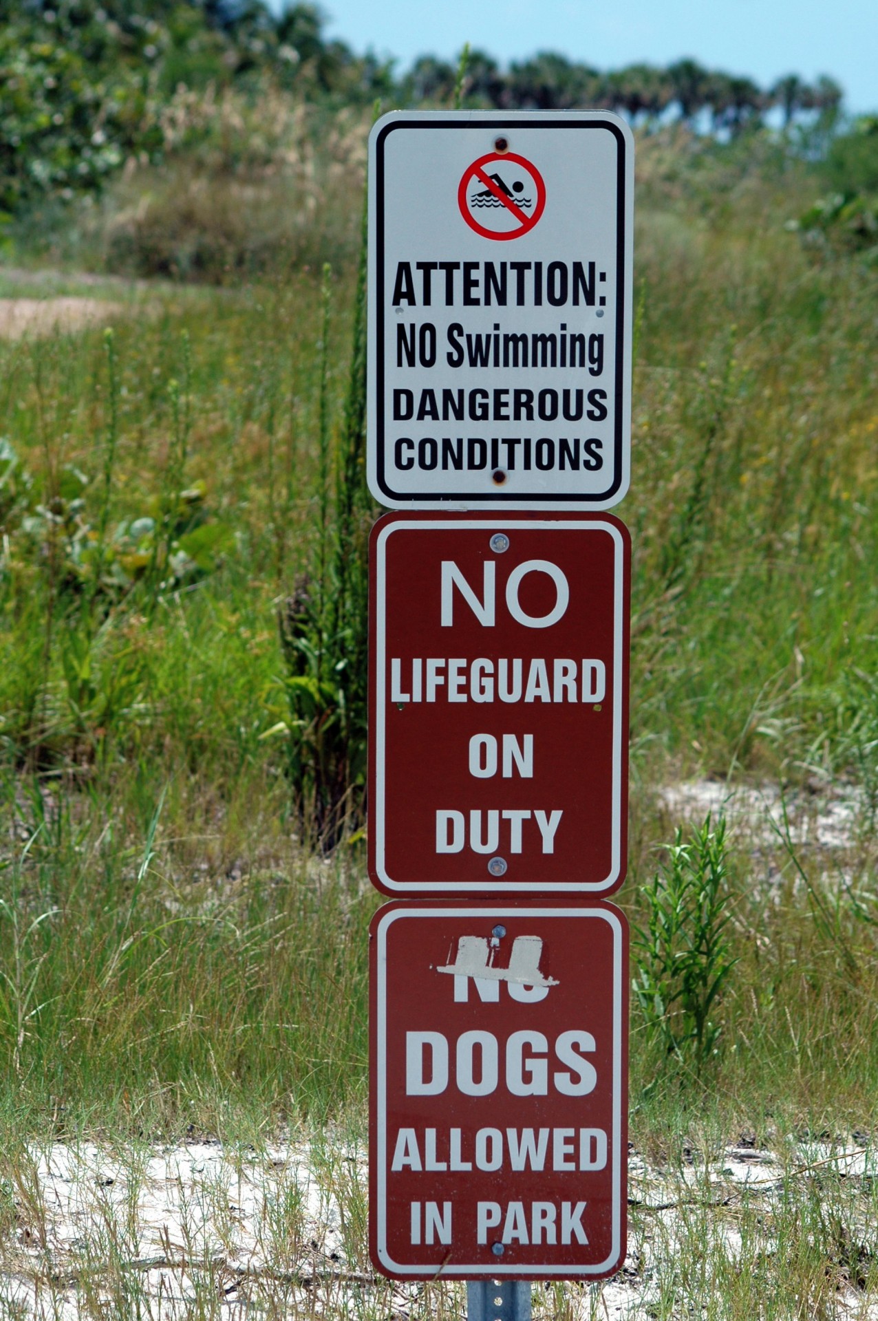 warning sign sign beach free photo