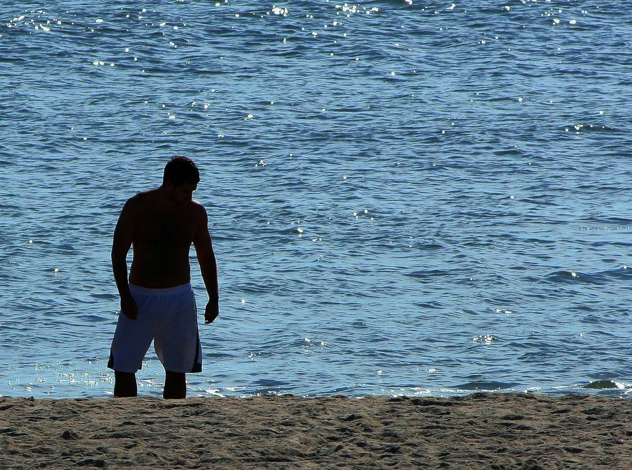beachcomber atlantic ocean silhouette free photo