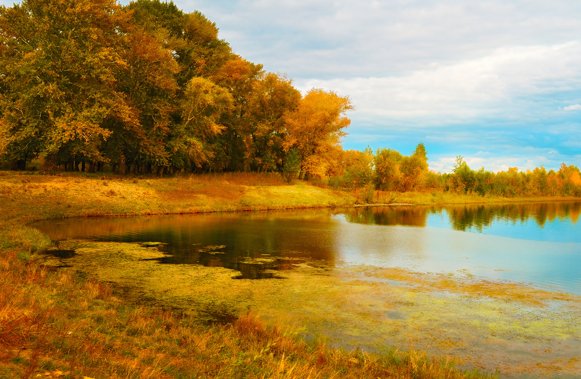 beach river autumn free photo