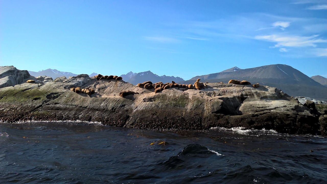 beagle channel ushuaia land of fire free photo