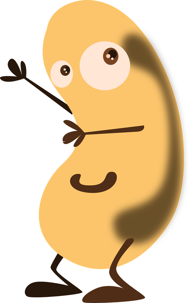 bean potato face free photo