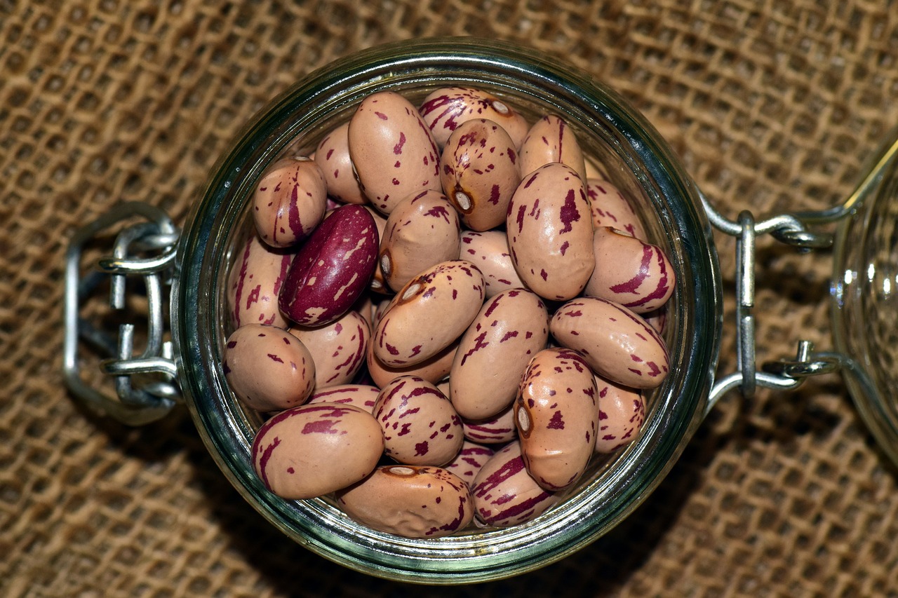 beans quail beans legumes free photo