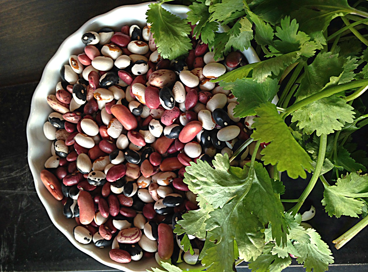 beans cilantro food free photo