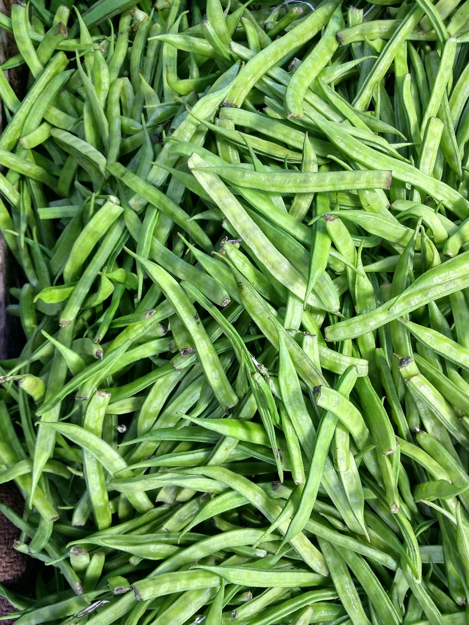beans vegetable green free photo