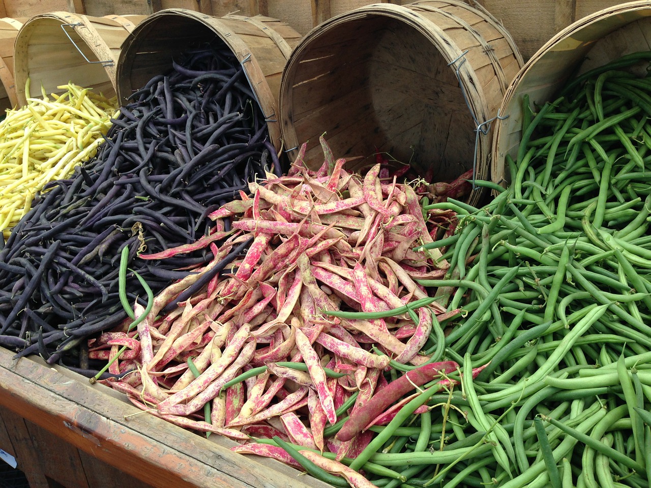 beans leguminous plants legumes free photo