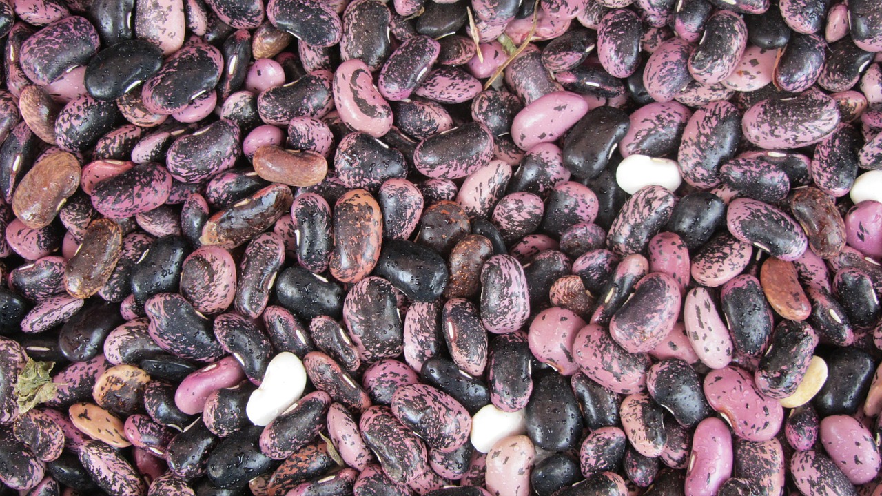 beans market food free photo