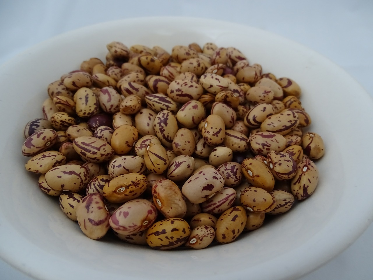 beans food nutrition free photo