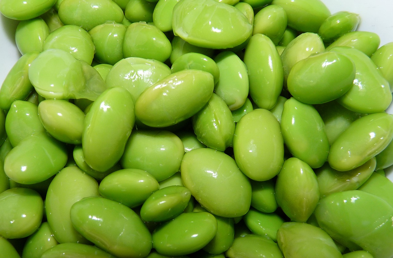 beans soy food free photo