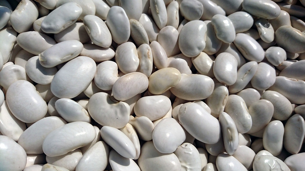 beans health background free photo