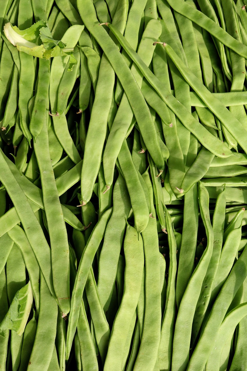 beans  food factory beans  green beans free photo