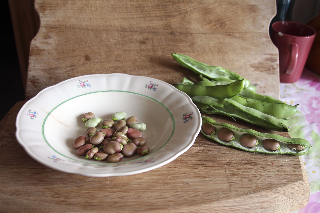 beans  legumes  pea free photo