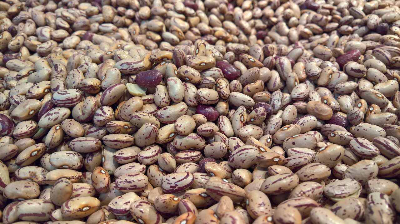 Download free photo of Beans, legumes, food, legume, eat - from needpix.com