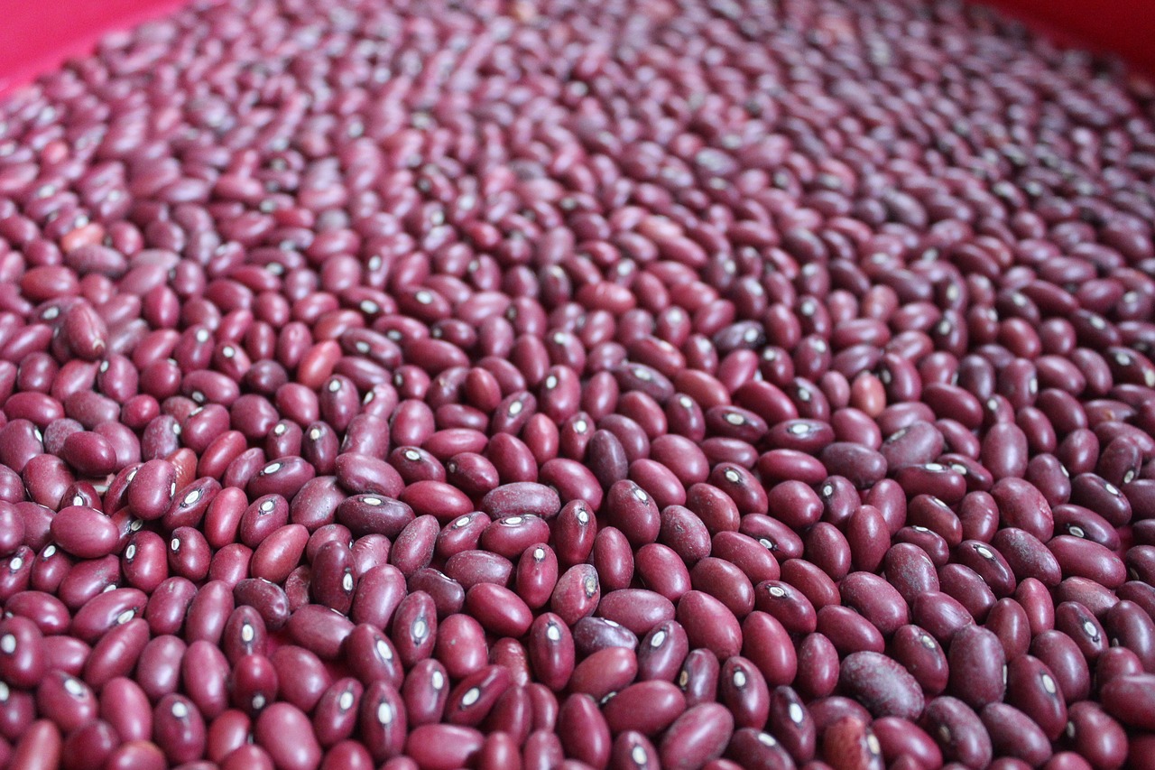 beans  food  texture free photo