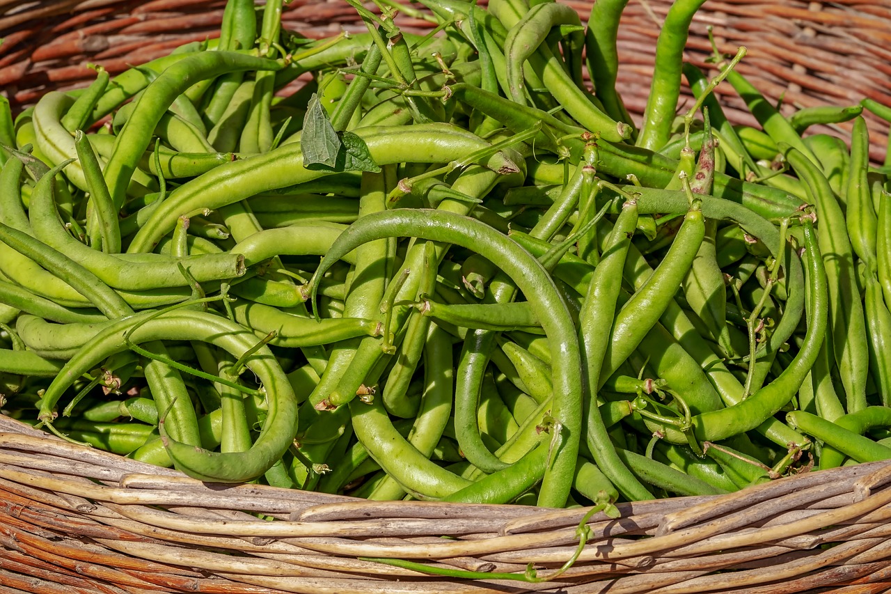 beans  vegetables  basket free photo