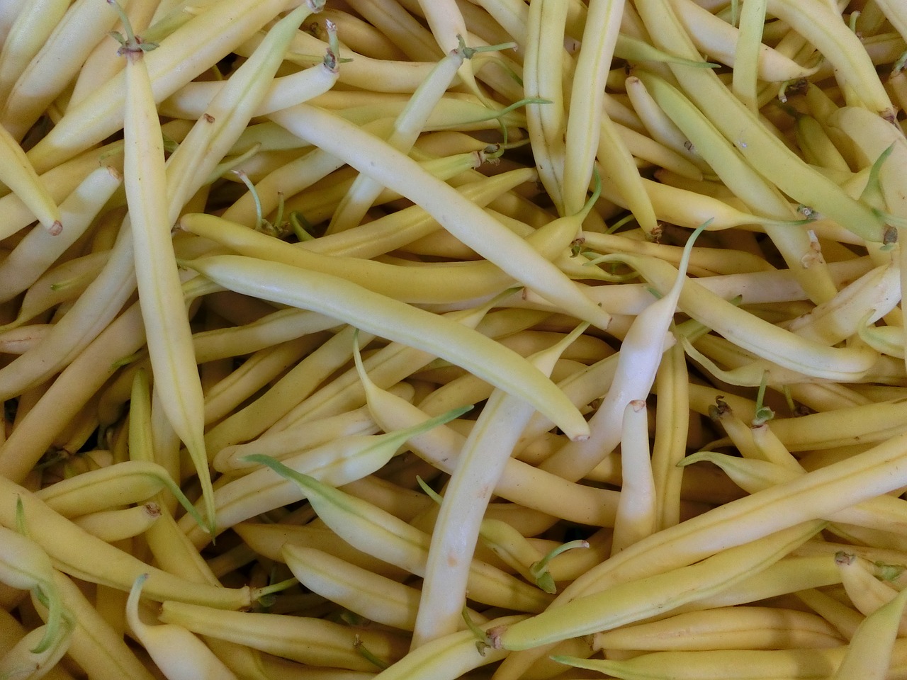 beans vegetables market free photo