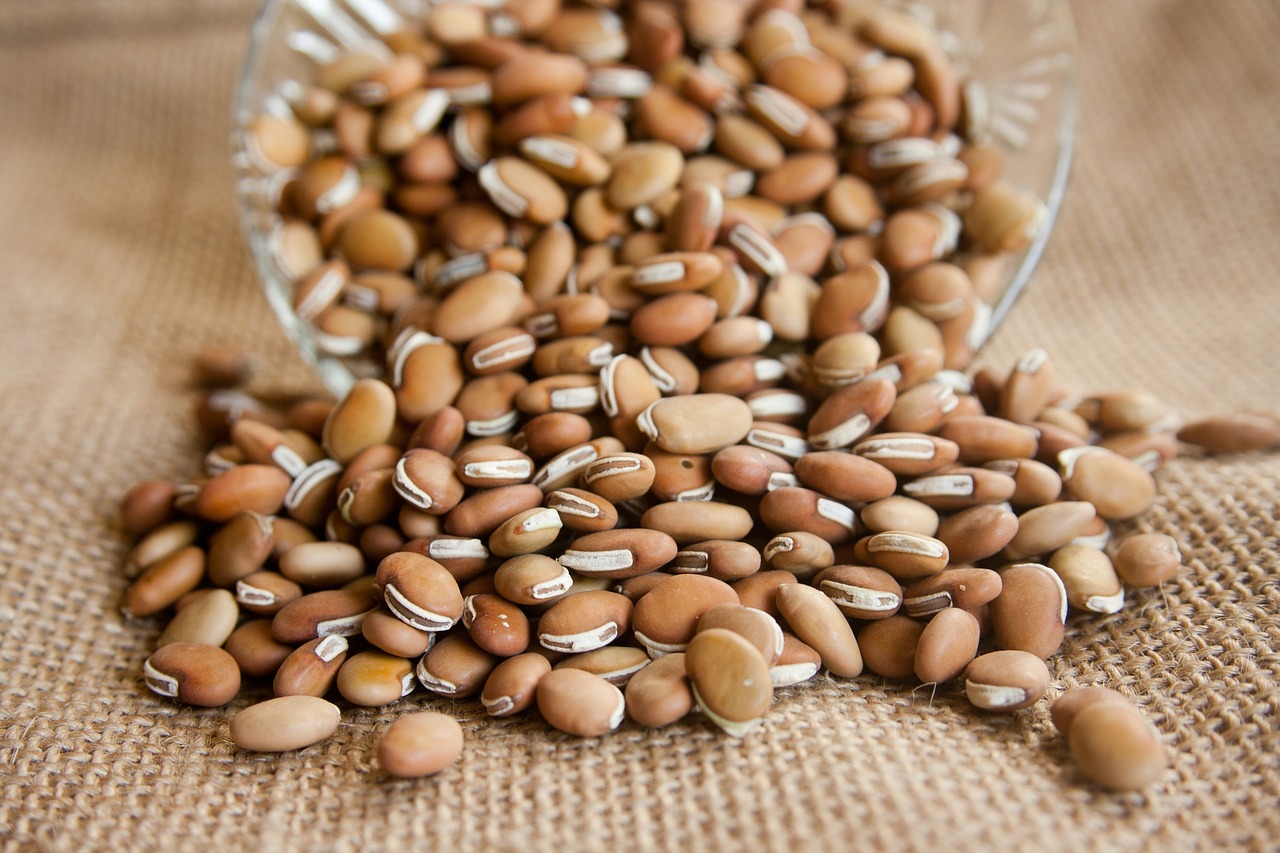 beans ingredients food free photo