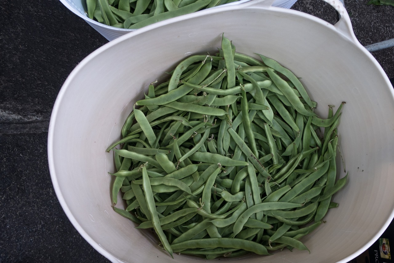 beans  food  vegetable free photo