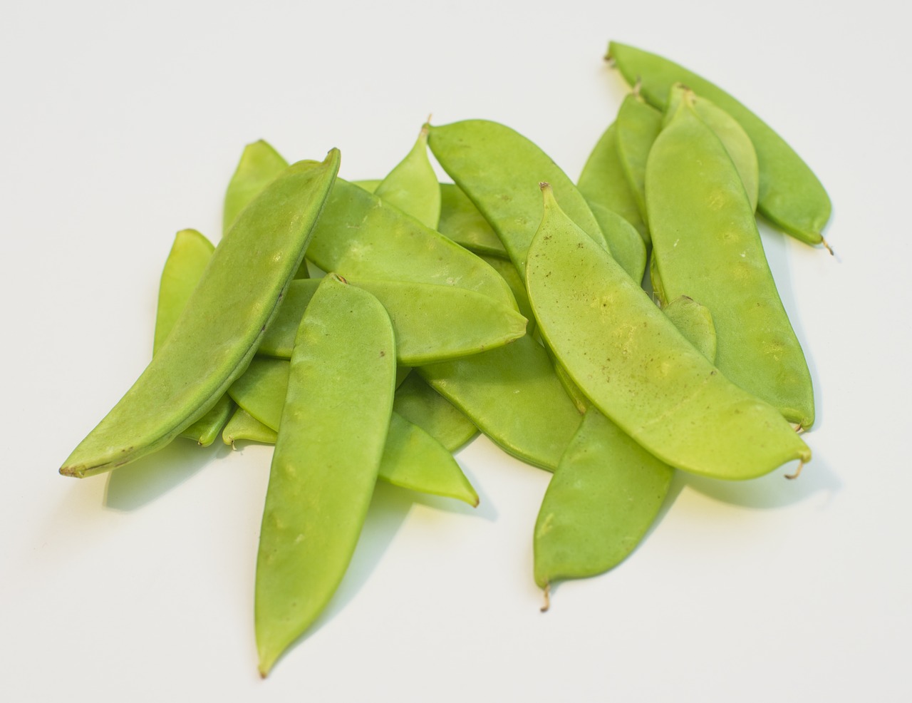 beans  on white  white free photo