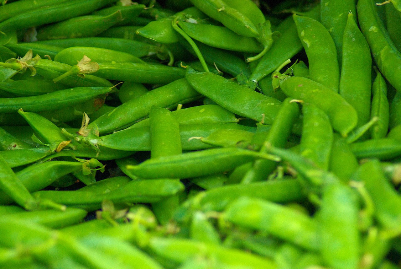 beans at jackson market  green  beans free photo