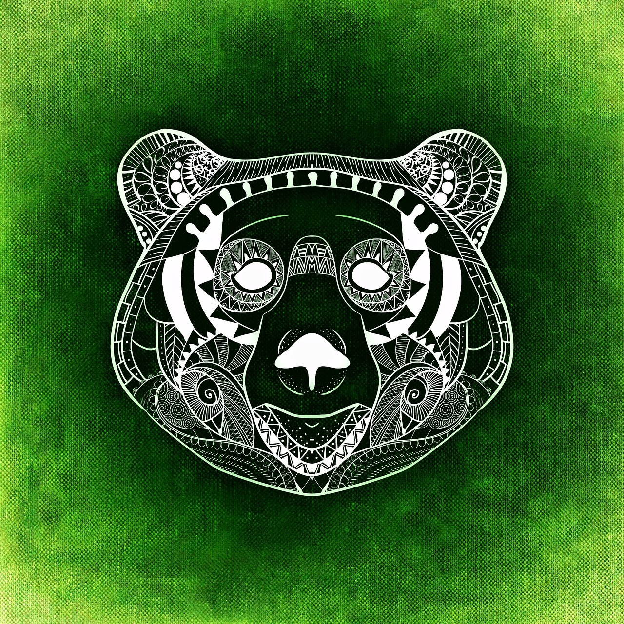 bear abstract background free photo