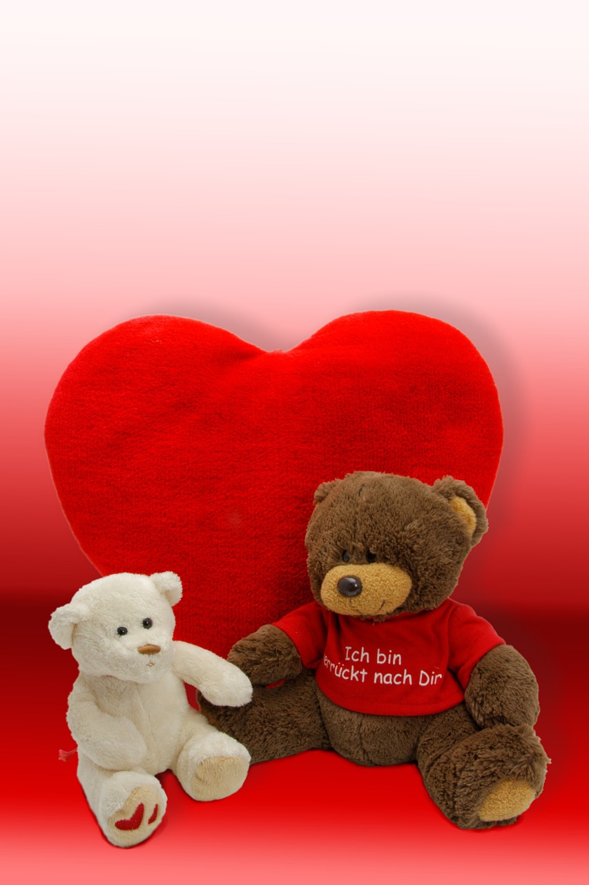 bear stuffed animal teddy free photo