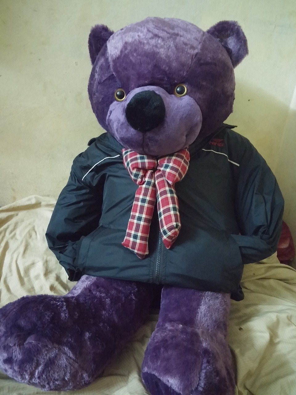 bear toy purple free photo