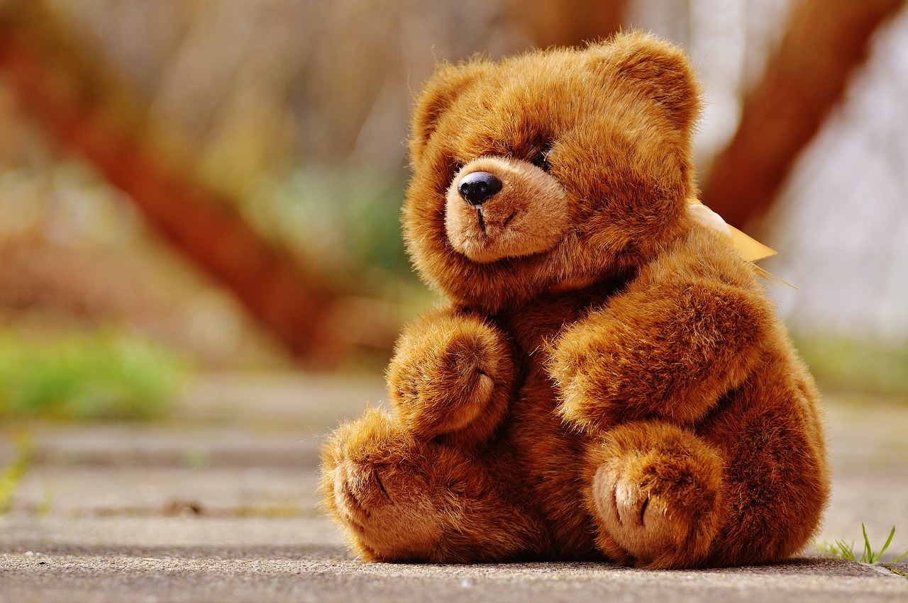 bear teddy soft toy free photo