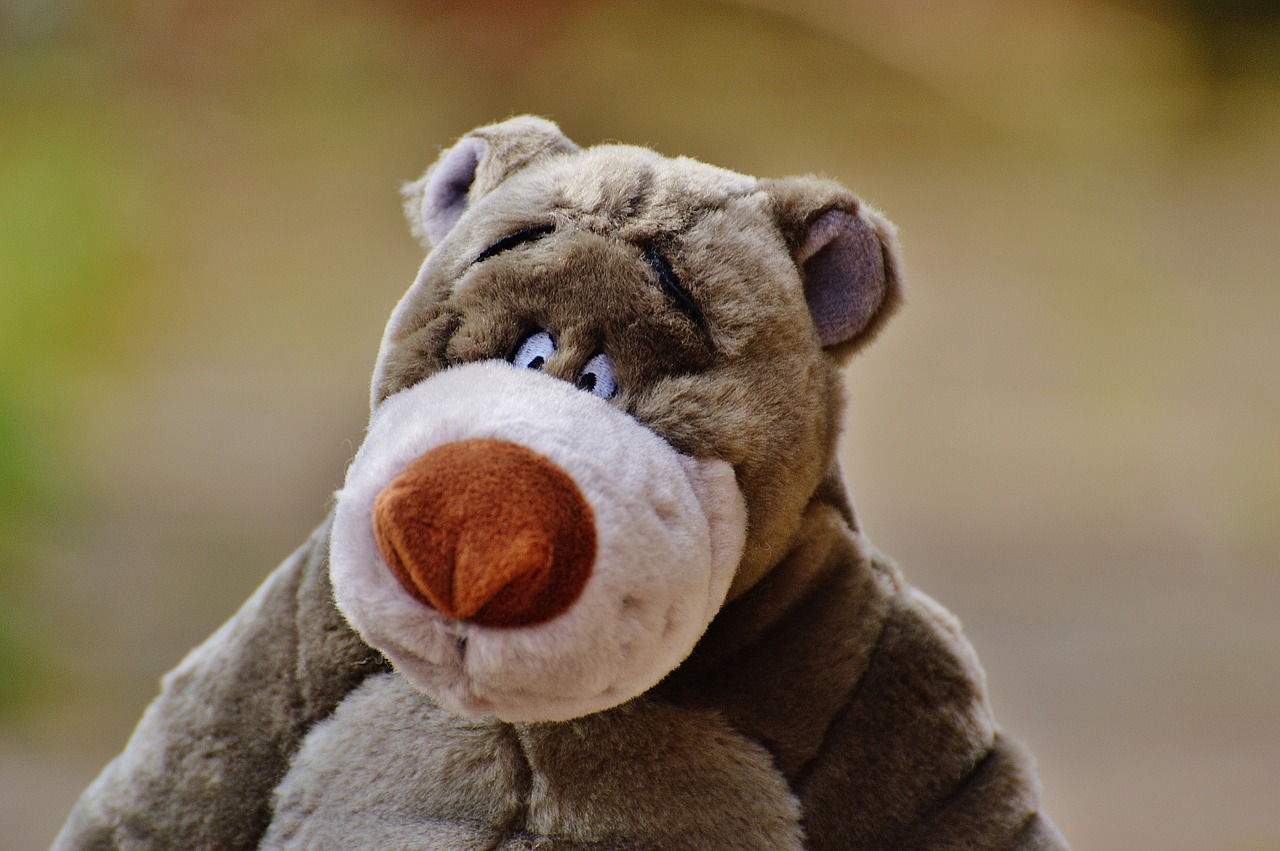 bear soft toy disney free photo