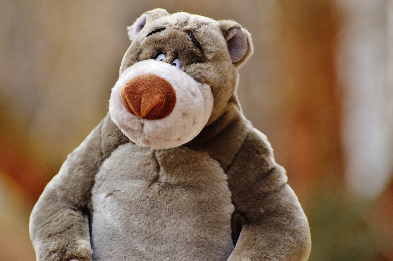 bear soft toy disney free photo